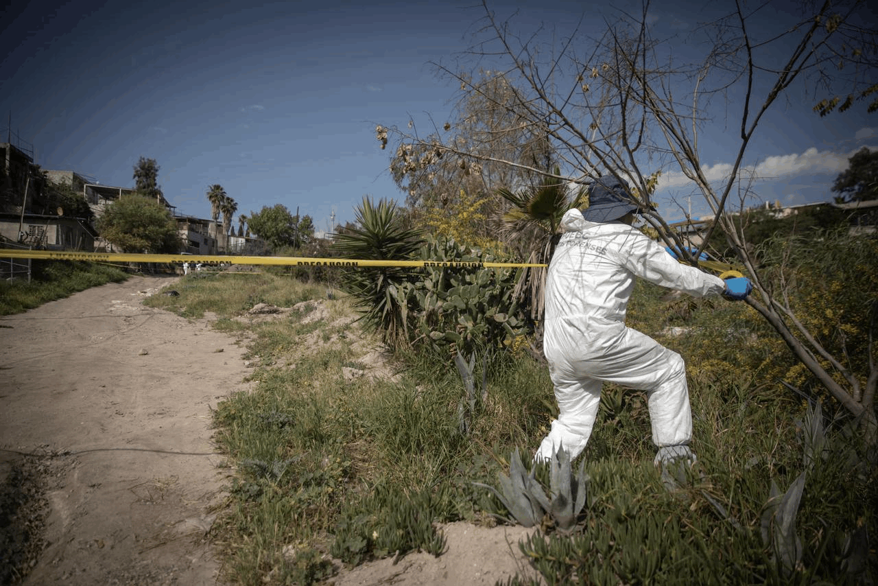 2fae8b8f-9743-4948-a920-ba816e0a5af0