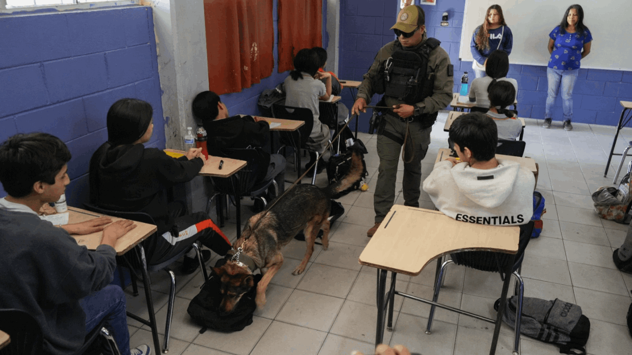 2fd4e213-b335-4eaf-a2f5-f572749df008