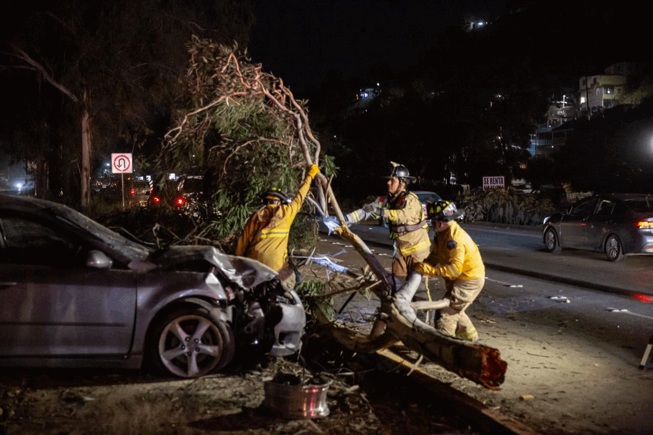 3077d3a2-233c-412e-a2c4-0f99ca9fccb8