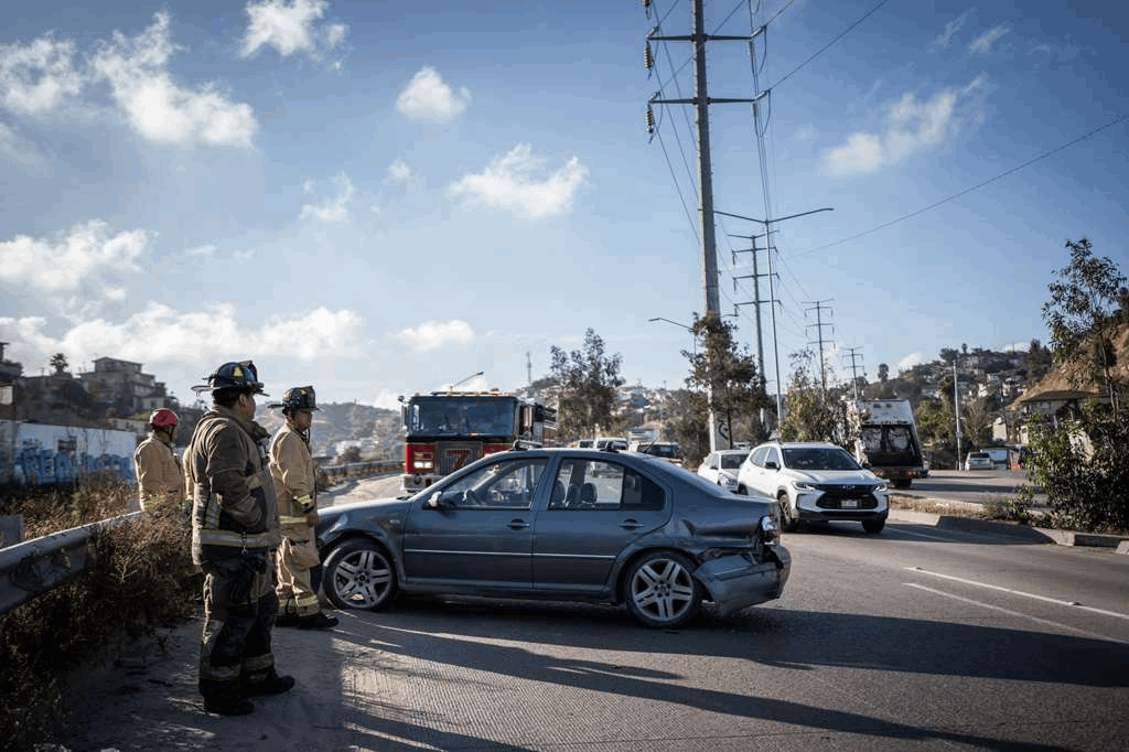 3101f6f3-0165-487e-8082-478d2ee44236