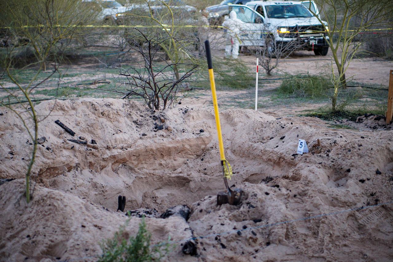 3150c39b-7bf2-48de-9244-3e312df5e603