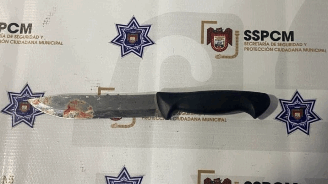 31cadc61-6623-492f-b329-92a9c857fcd1