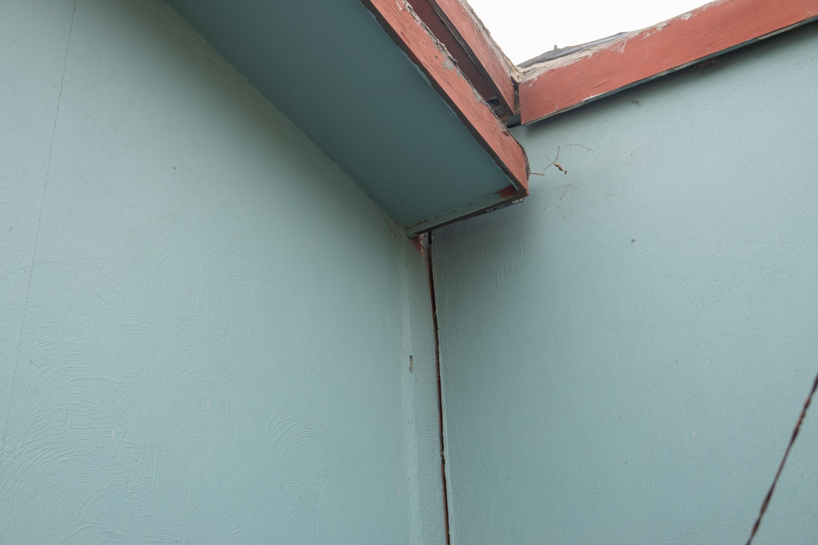 31ddbc69-68bb-4a1b-bed9-2ce348fe8660