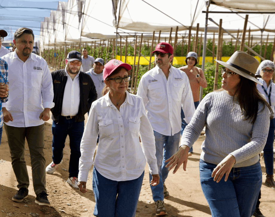 3252a9a7-2523-4de8-b0de-143ab42df761