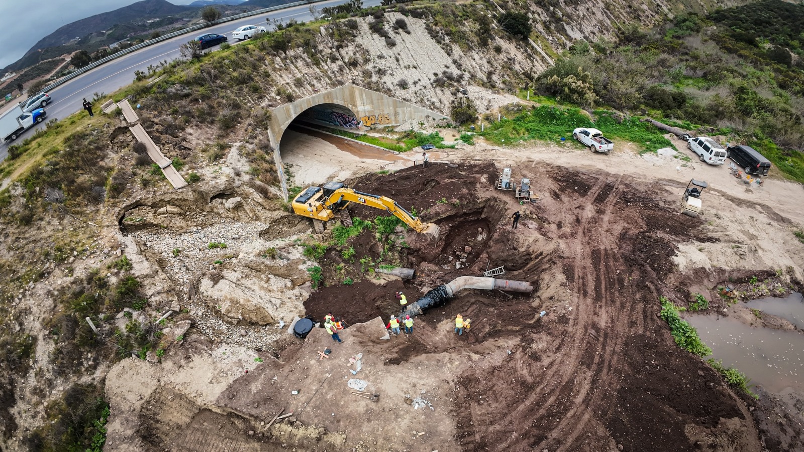 32f1e4db-94fa-4db0-afbf-2aeeb71eee81