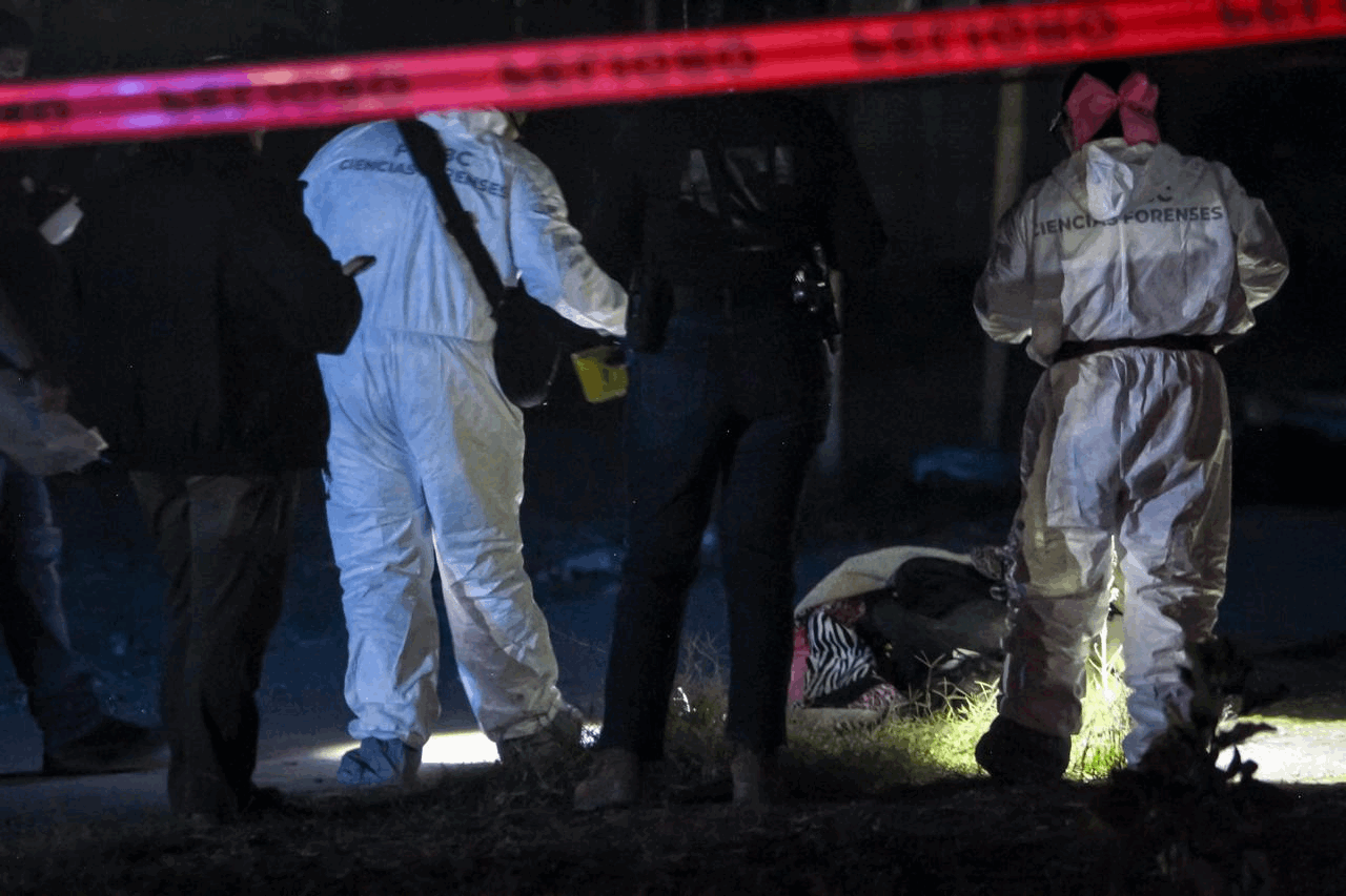 3308f7ca-87df-4718-a09c-a0dd5cf06cec