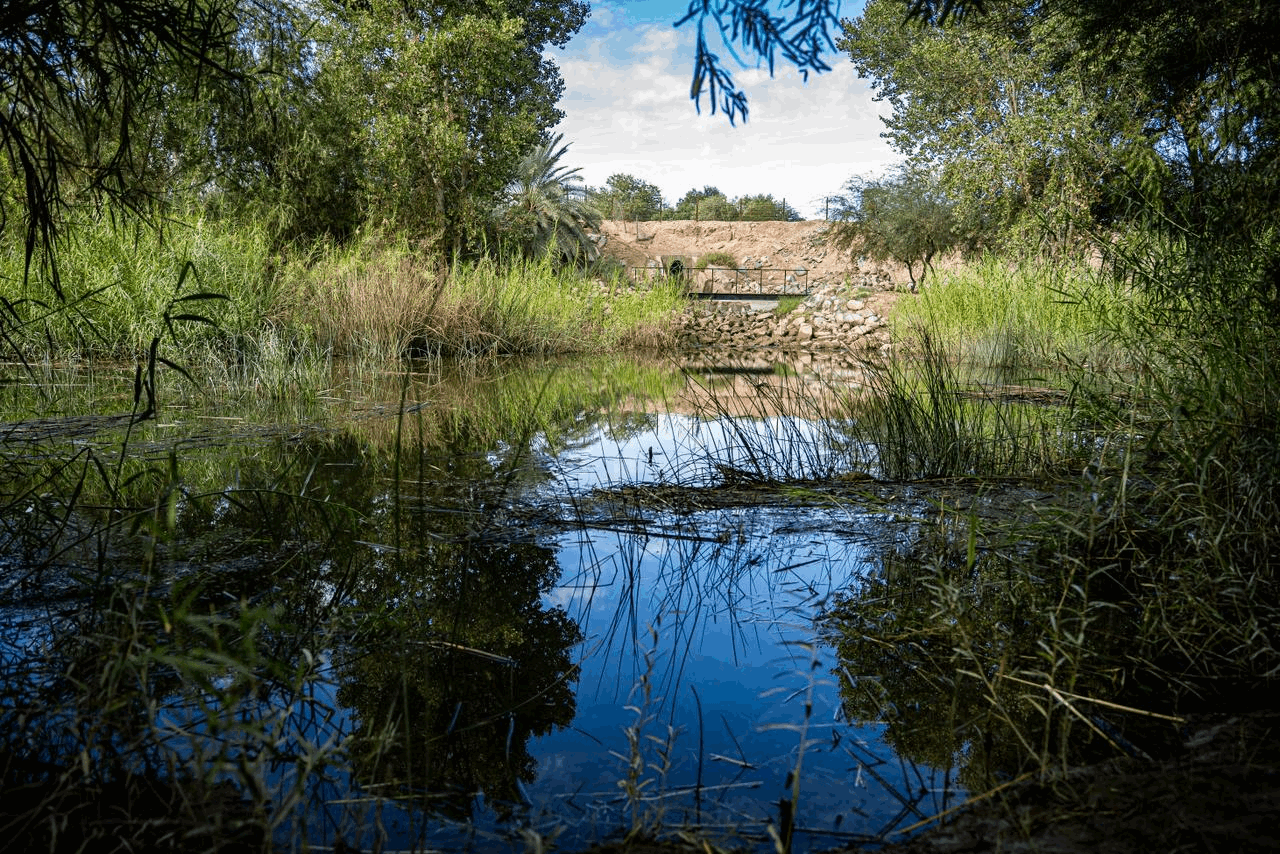 34806d4c-c654-4bdf-b6ba-13a31b4bf4bc