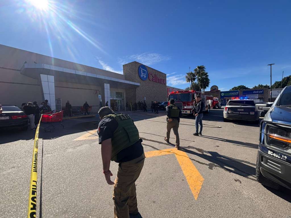 364e03be-ff99-4467-8e67-c2a7f5d21a50