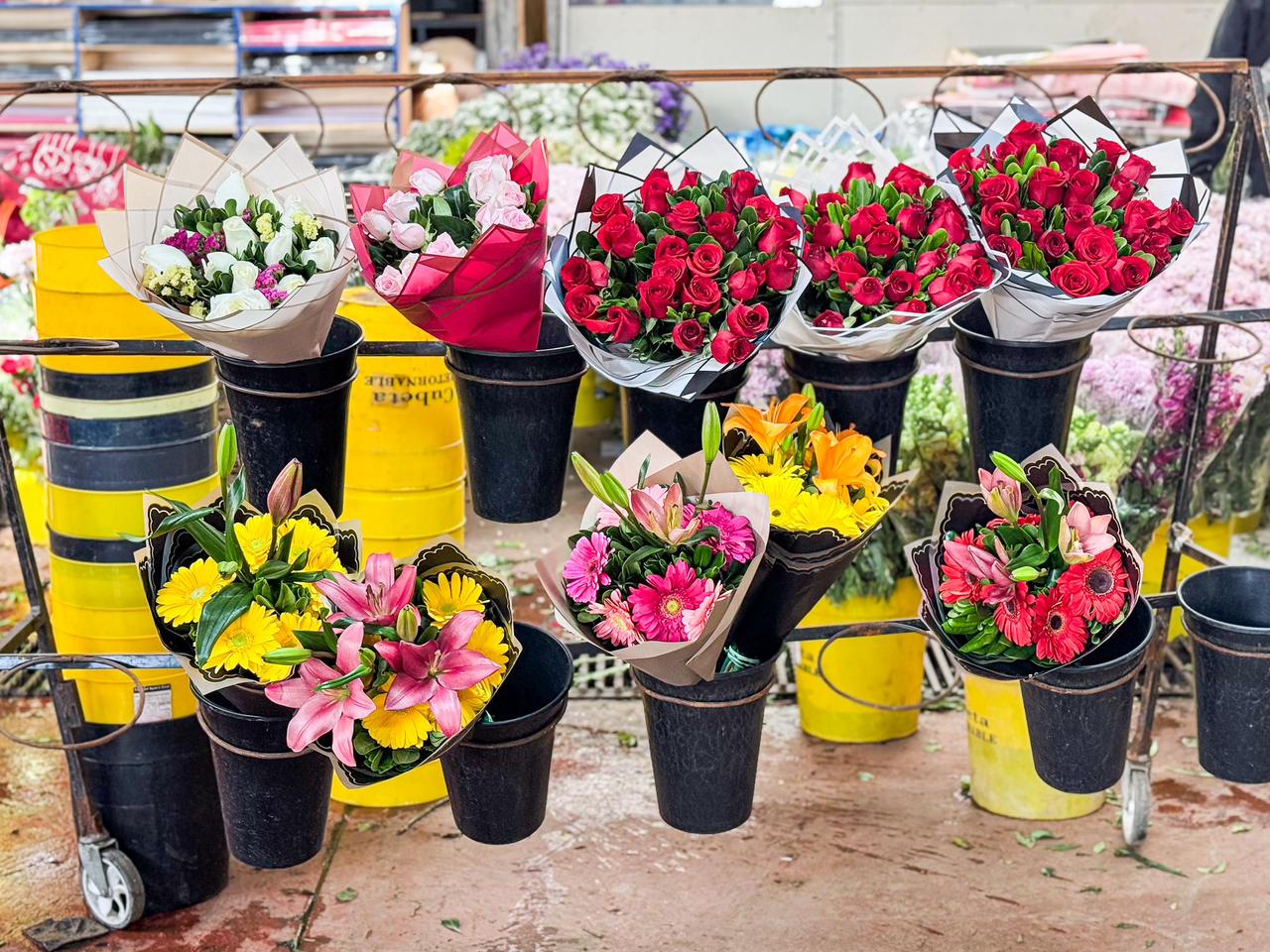 36d8d702-1635-4f49-8b14-23b126d59d02