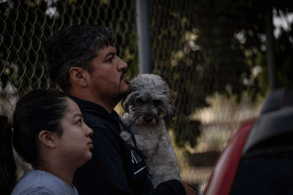 371fd2ad-b22e-449b-96d6-f03292eb4a9e