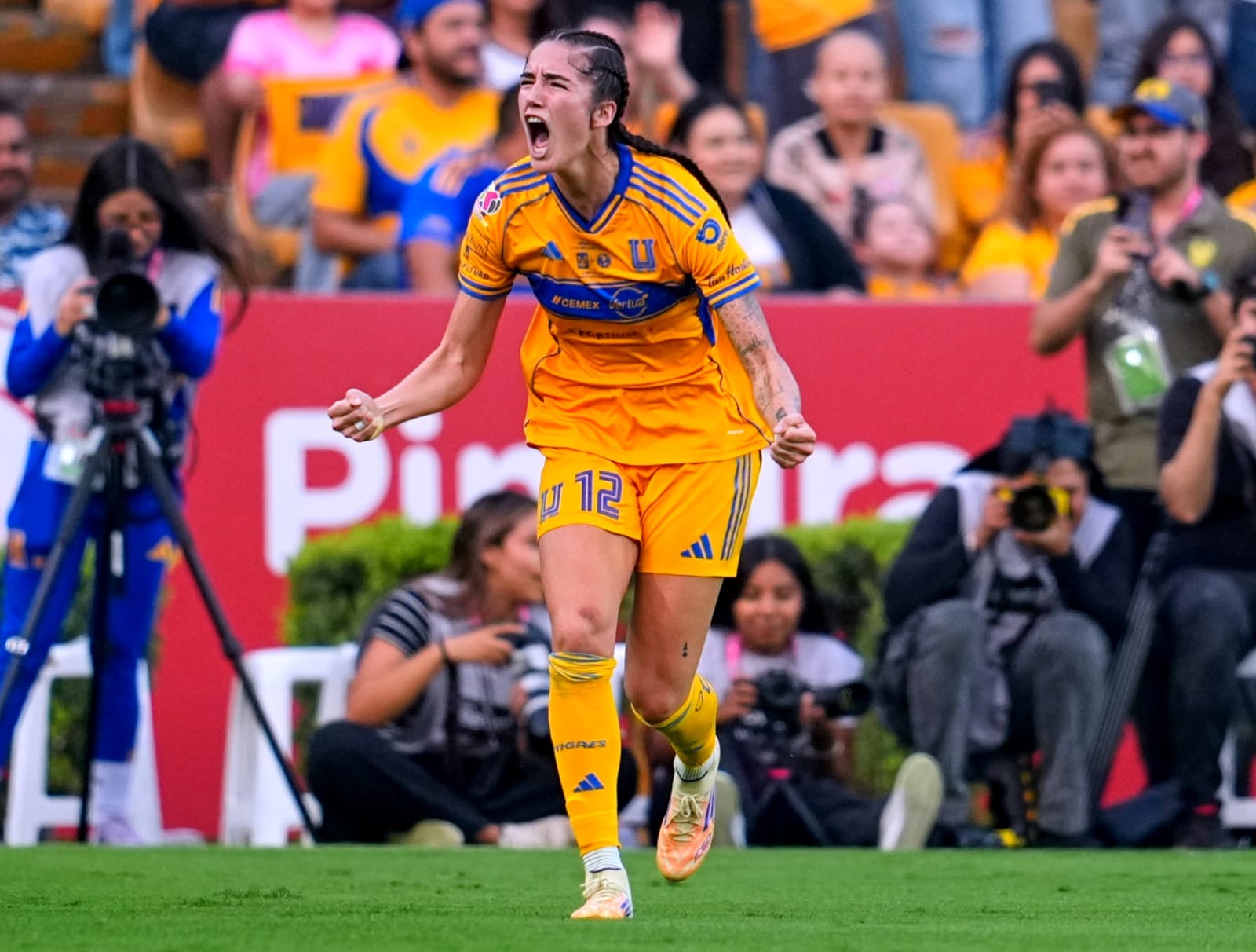 377b6465-7237-4527-be2b-dabdb1ba3910