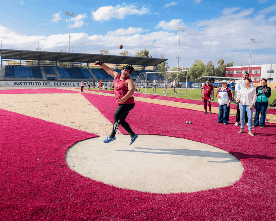 37a84210-bc0e-4a68-8c89-e2d9f3d4b9d6