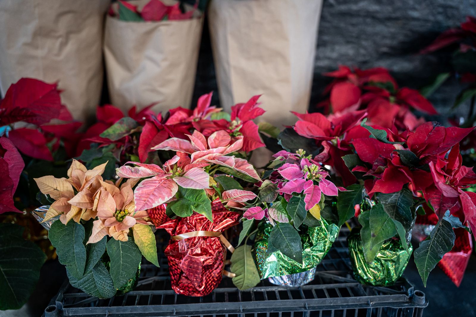 3843f290-fba7-4e3e-8165-47332c5bfdcb