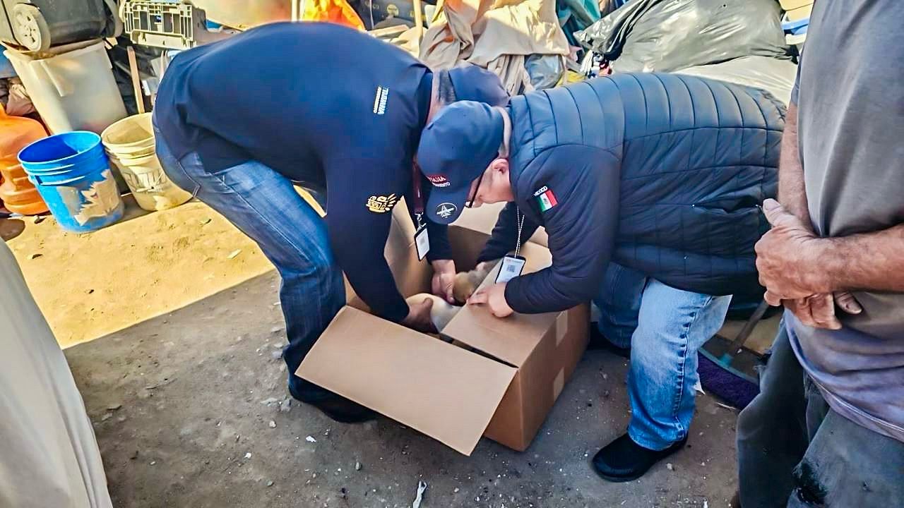 38c1fa2d-de5a-4c77-a8ca-ee66b60997bd