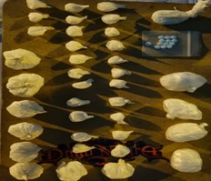38f04bf8-8374-46bd-a498-39f35ffad87f