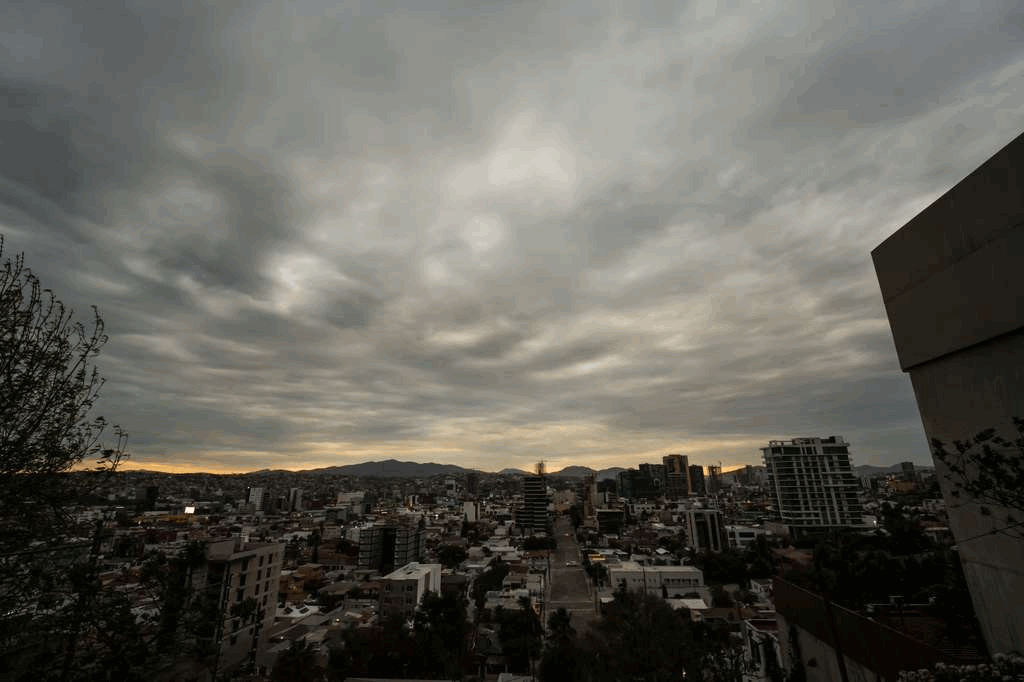 39bc2b9c-f60c-4f32-957c-feeea3c070eb