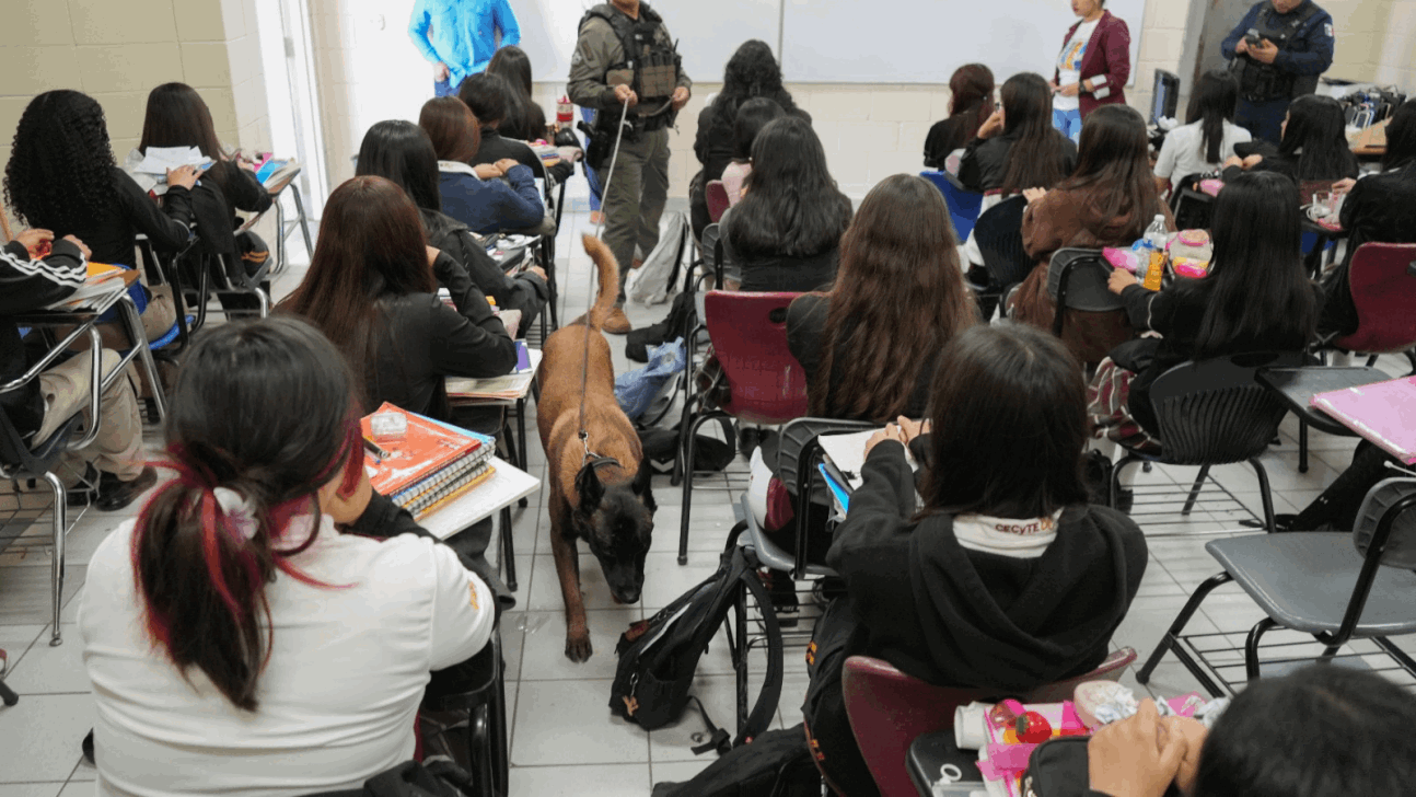 3aaa9480-3a0c-4371-85f3-787c5809ba22