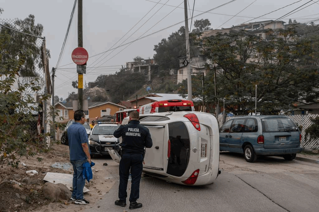 3bcadd9b-258f-442c-9d7f-31c401eeb7fc