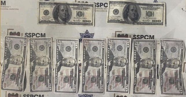 3ed7ca36-2739-4695-a6b8-04bf99e3aaad