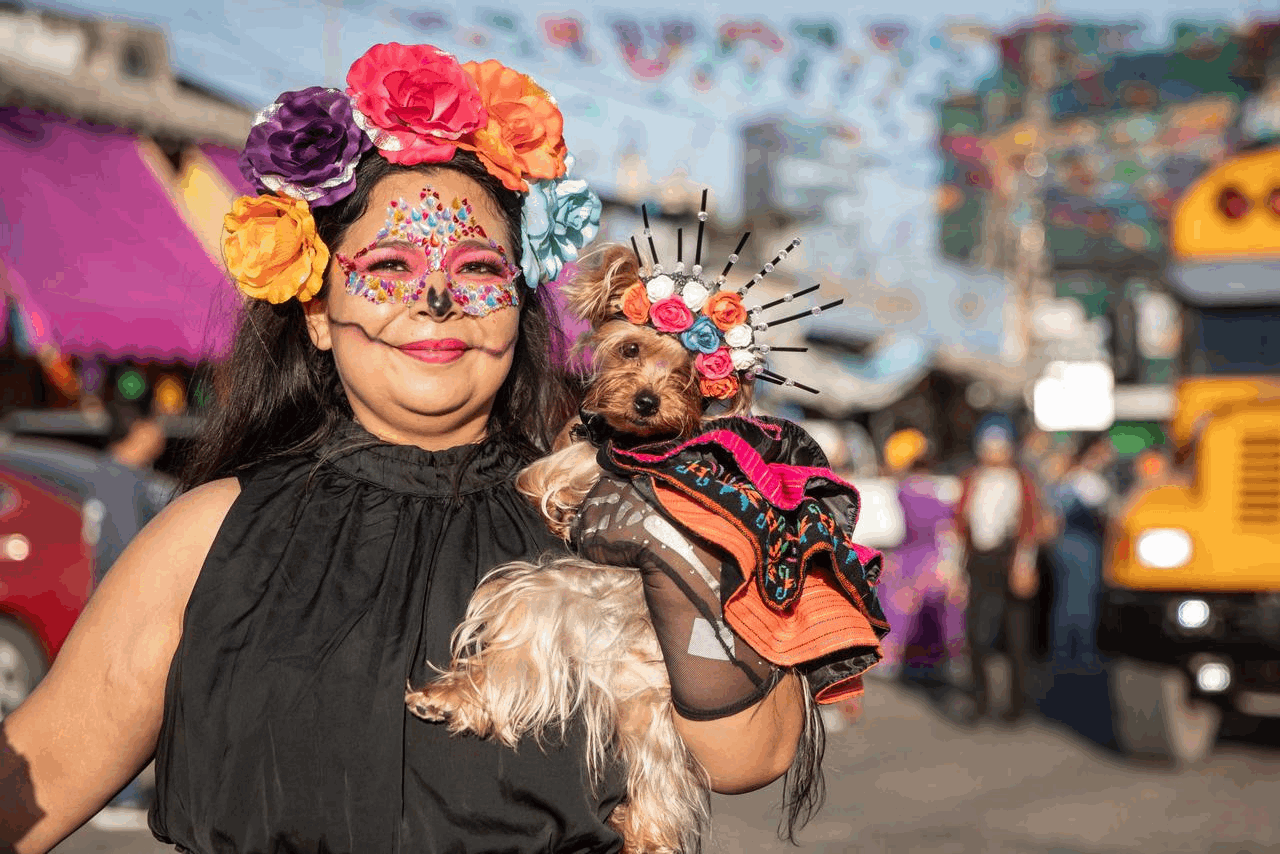 40819533-31b3-49f2-bdbb-bd98ca8942ae