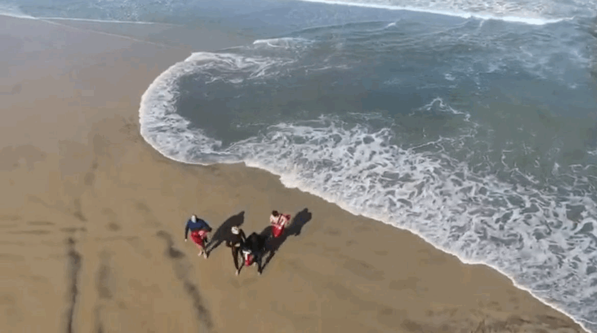 40d7bc54-5d19-4daf-a138-207824ff8fdb