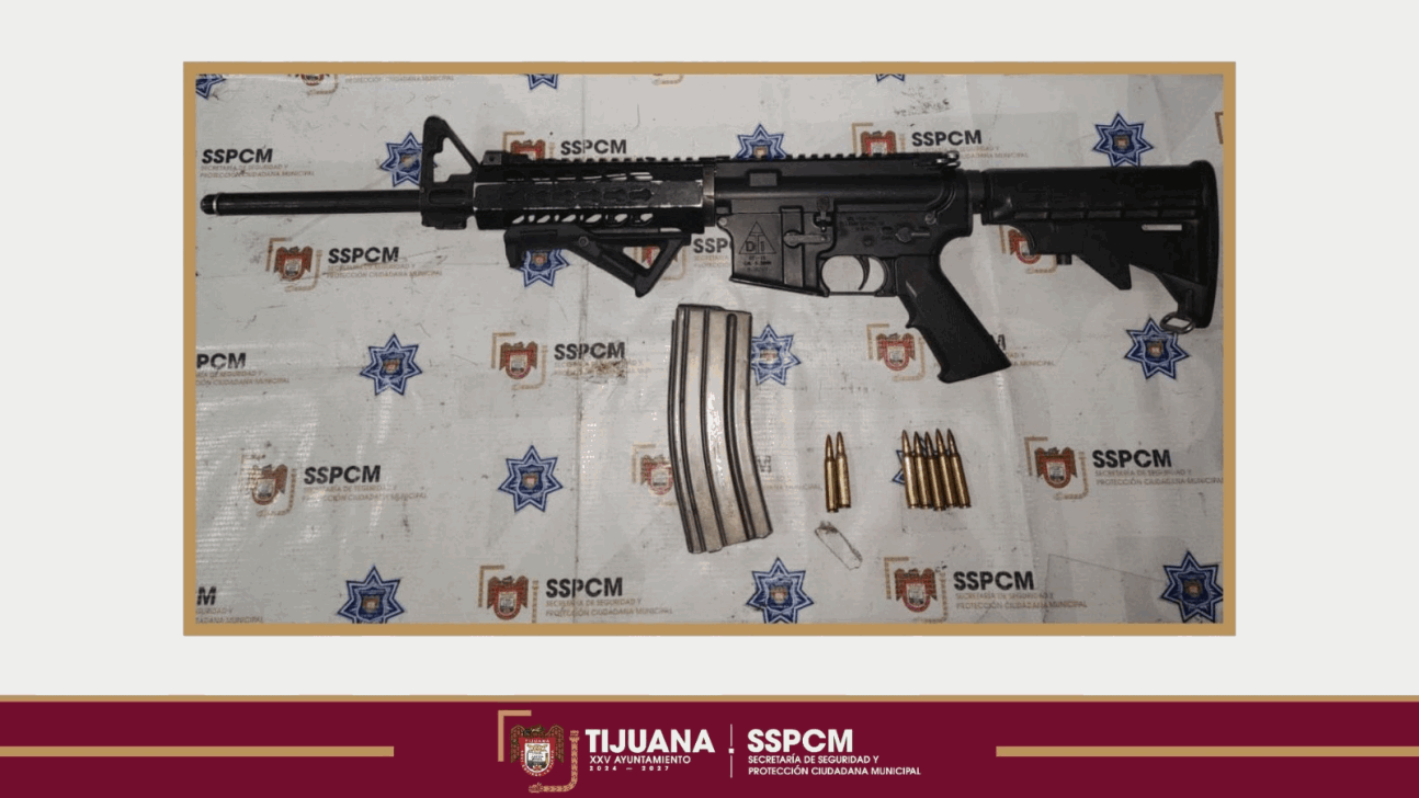 40ec0818-0bff-4118-b629-54120f87f699