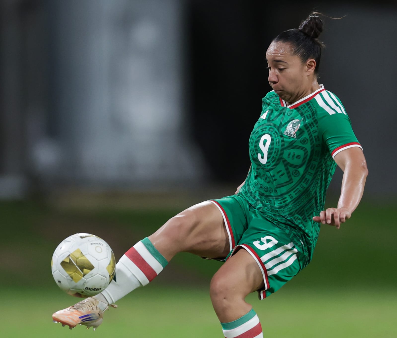 42c03506-c8b6-4a61-a000-be5a3187e3cd