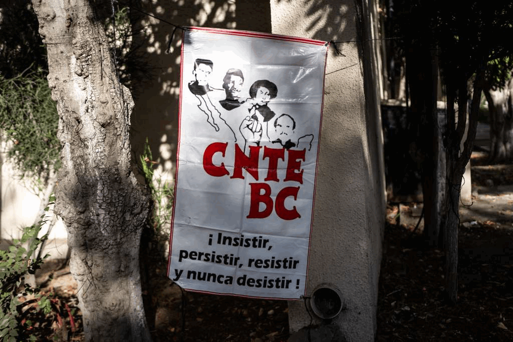 44e871c2-c4cb-49d4-95c8-f682cec2f408