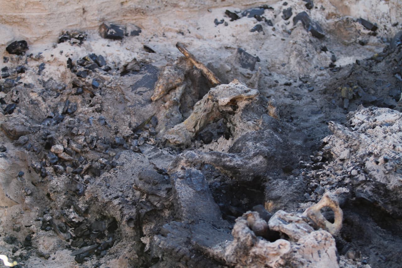 44f871b6-a967-4db0-bd74-75d201b8ec56