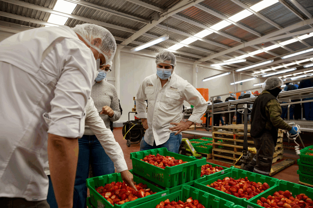 45231fbf-6779-4f0e-b772-e590edc0aa42