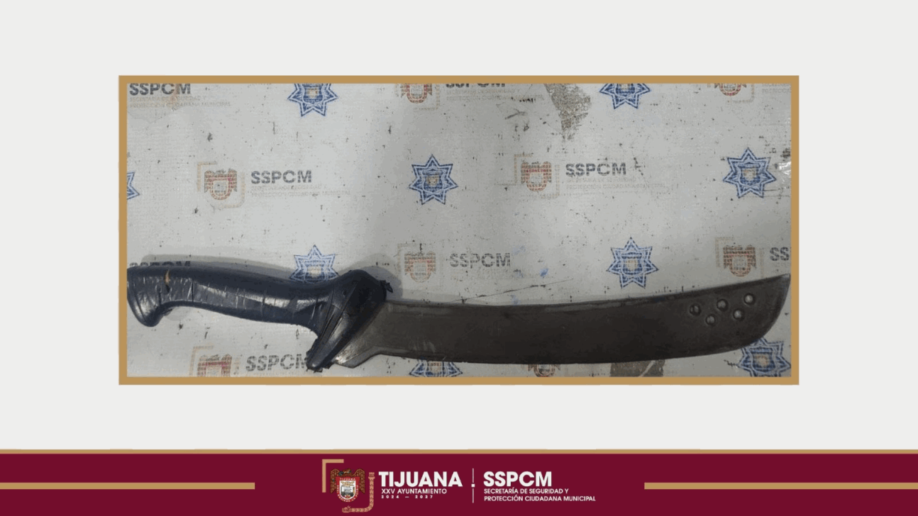 485896d0-c74a-4979-ace6-214fdbeaf1ed