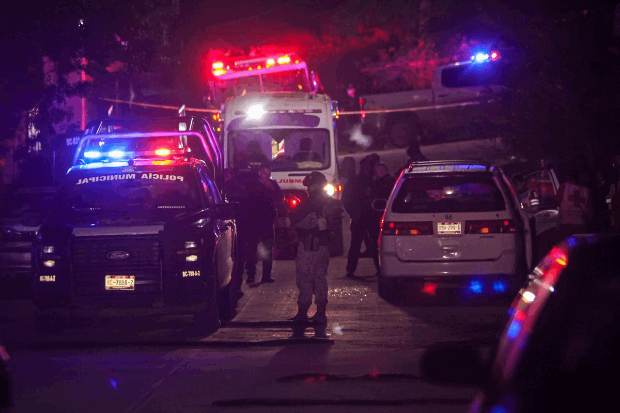 487a6ae6-40ae-435d-b397-ce6ac6e149c7