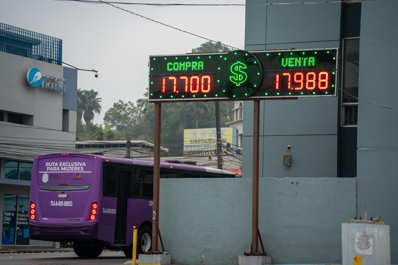 499221da-cd70-45ec-8bae-92f1d0762978