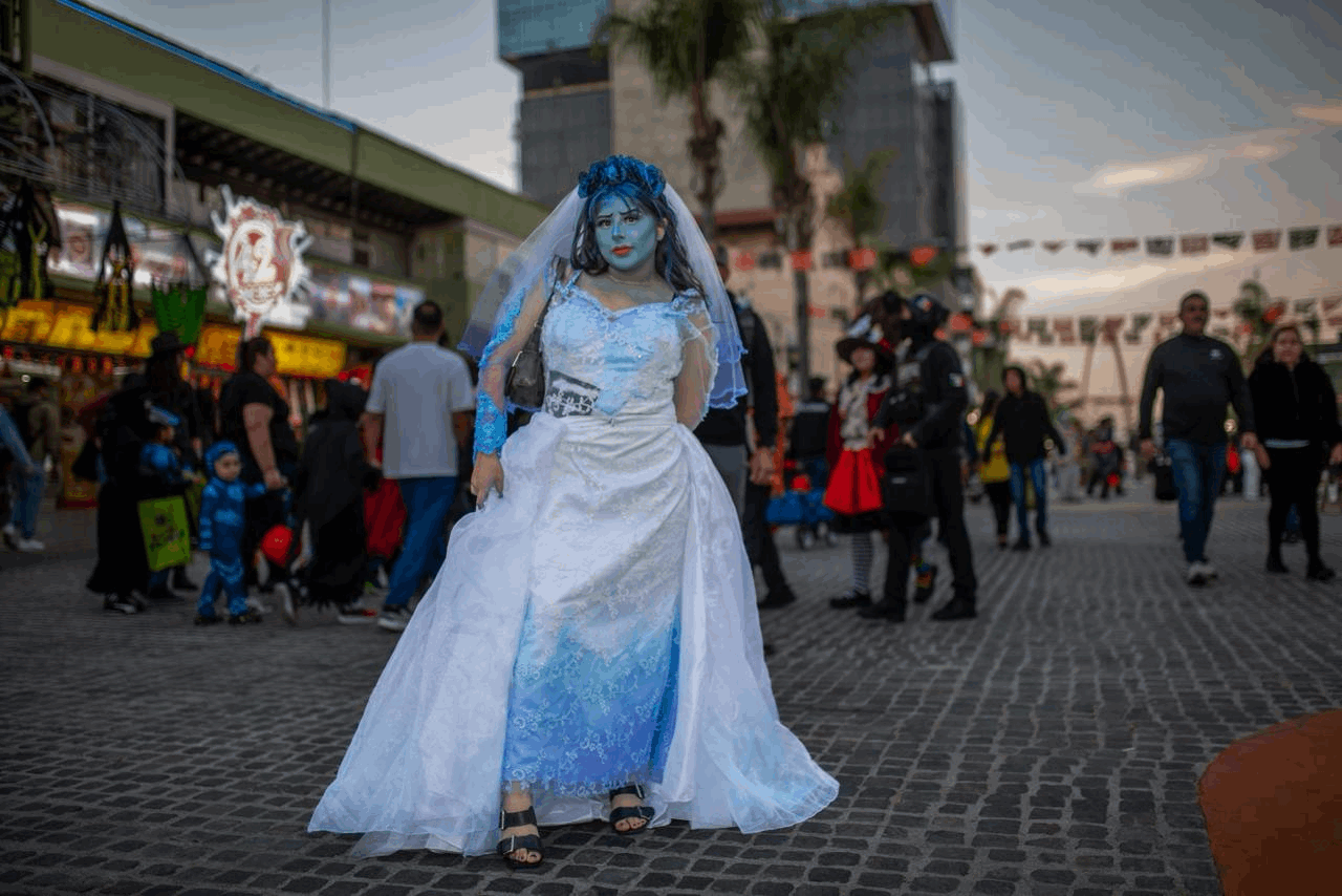 49c0d59c-4a0f-40f0-9688-629244b98fd7