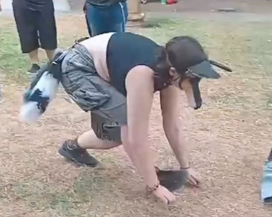 4a12ca83-18e3-495b-8541-6da5a586bf09