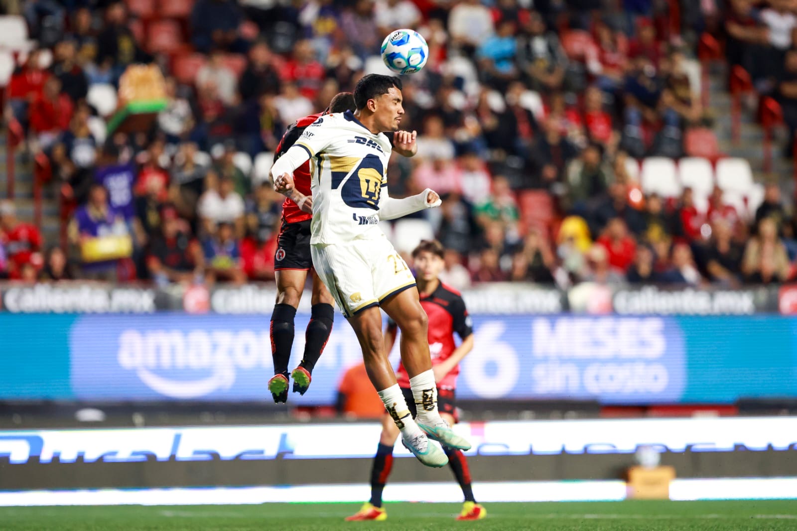 4f4050c8-0dcb-4c59-9b35-0f60a4d60688