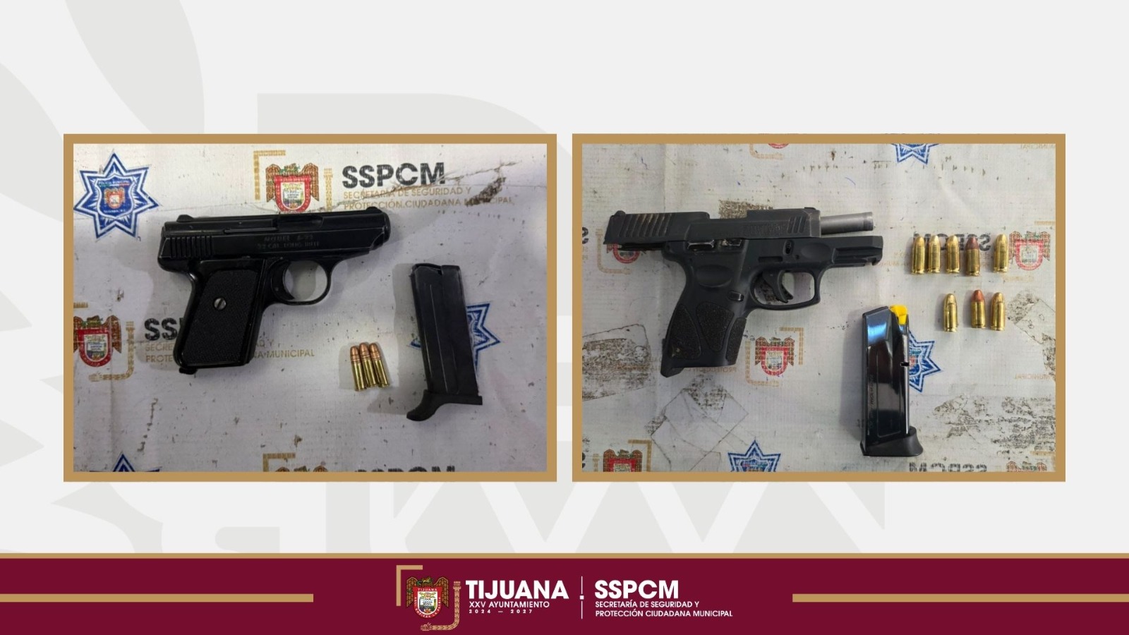 5055ccf1-1736-4e9e-90fa-e599ec341882