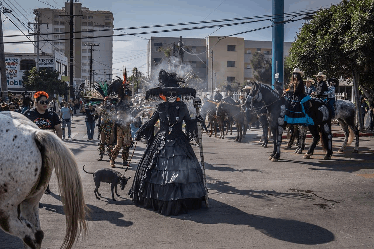 50a984dd-347c-4004-aedf-b0d74400c42a