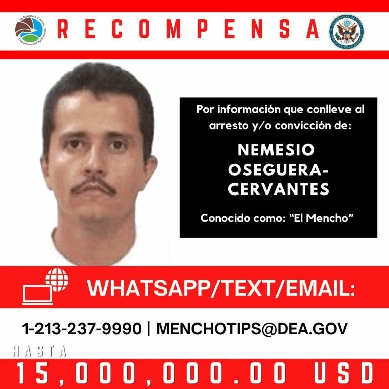 519e4301-ebd0-49fd-910f-cb6a7f9b463f