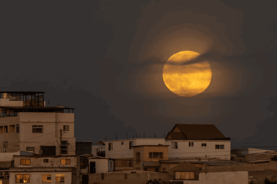 51d7483a-61e4-4a75-9a0f-cce9e47608af