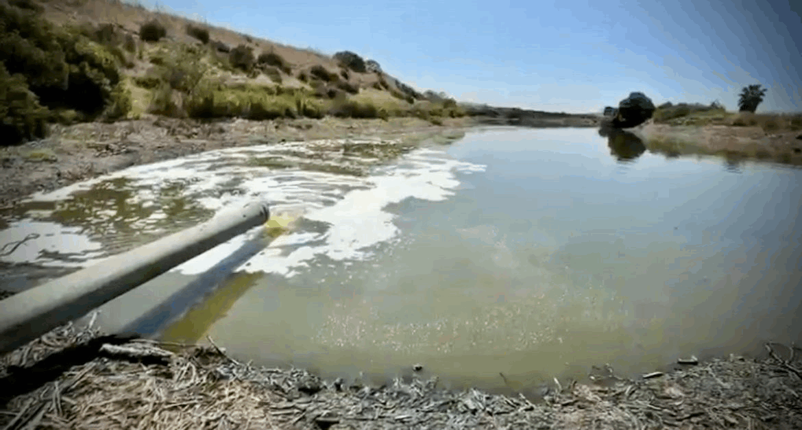 51d8feac-ff60-48f8-b702-eff5401f0f9b