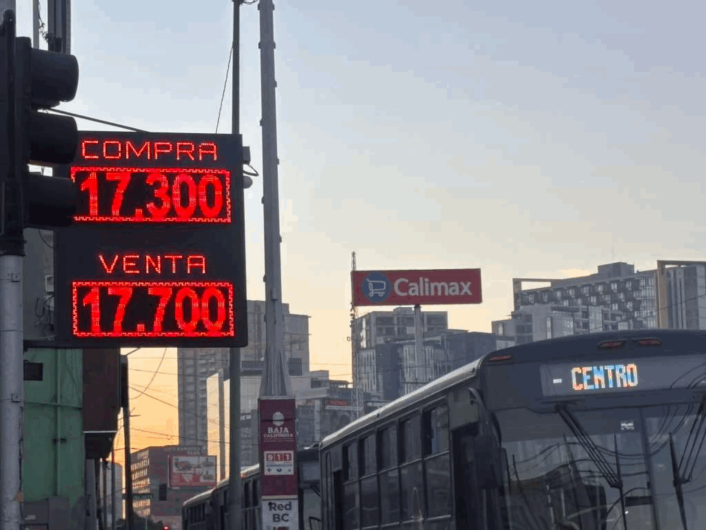 52c12c7f-51db-4fab-b2b4-47f5a42222ee