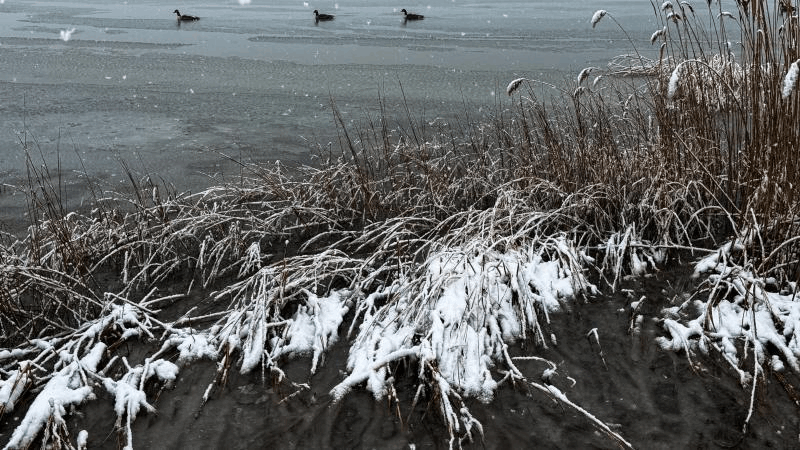 52c6c91e-909d-48aa-acee-e8a7f657ea13