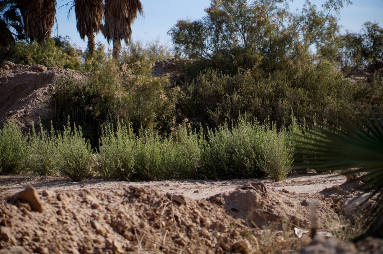 5447c618-b6a9-453d-a75d-2725e9f5c337