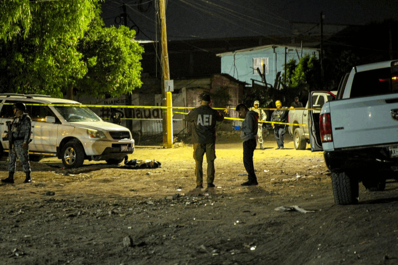 54c52981-d72f-45c8-b028-1c3dc1c8ebf2