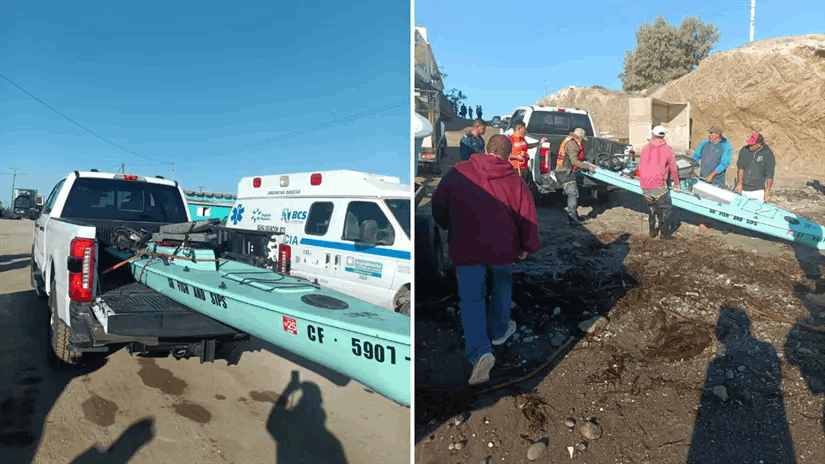 55410688-b62e-4f8f-89ed-cc5231a6b710