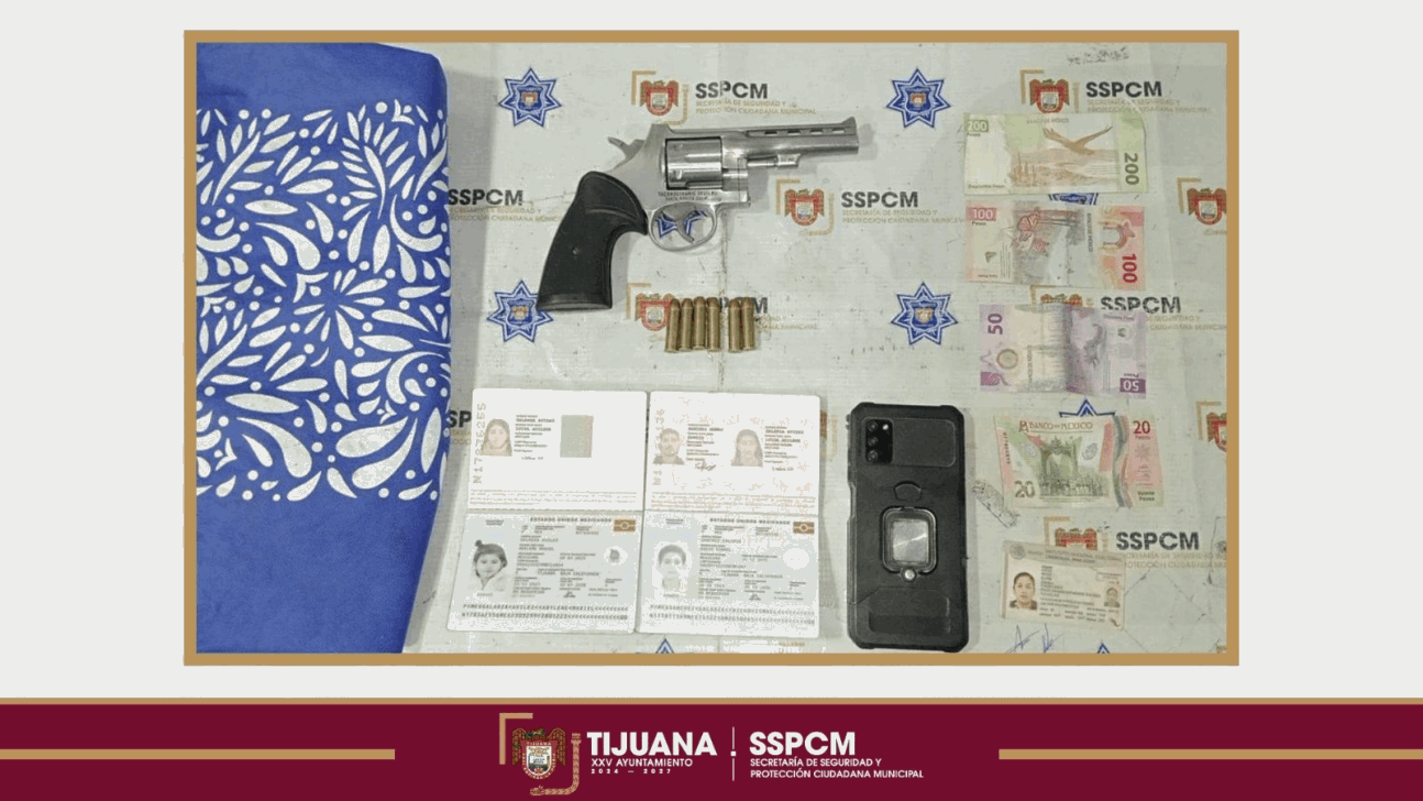 55a2595d-2855-43d1-afde-73d8e28c76f1