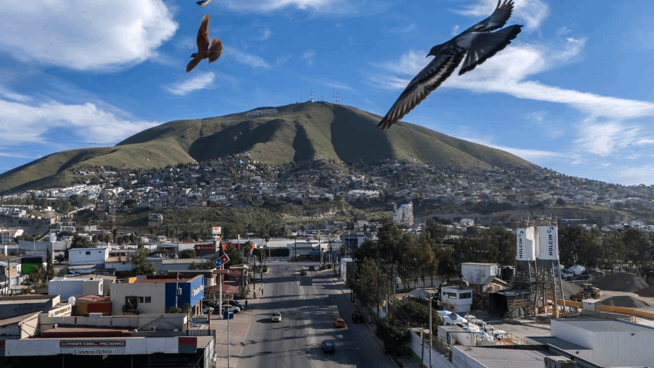 55ad06f2-959c-4271-89e8-ff06bfa169ec