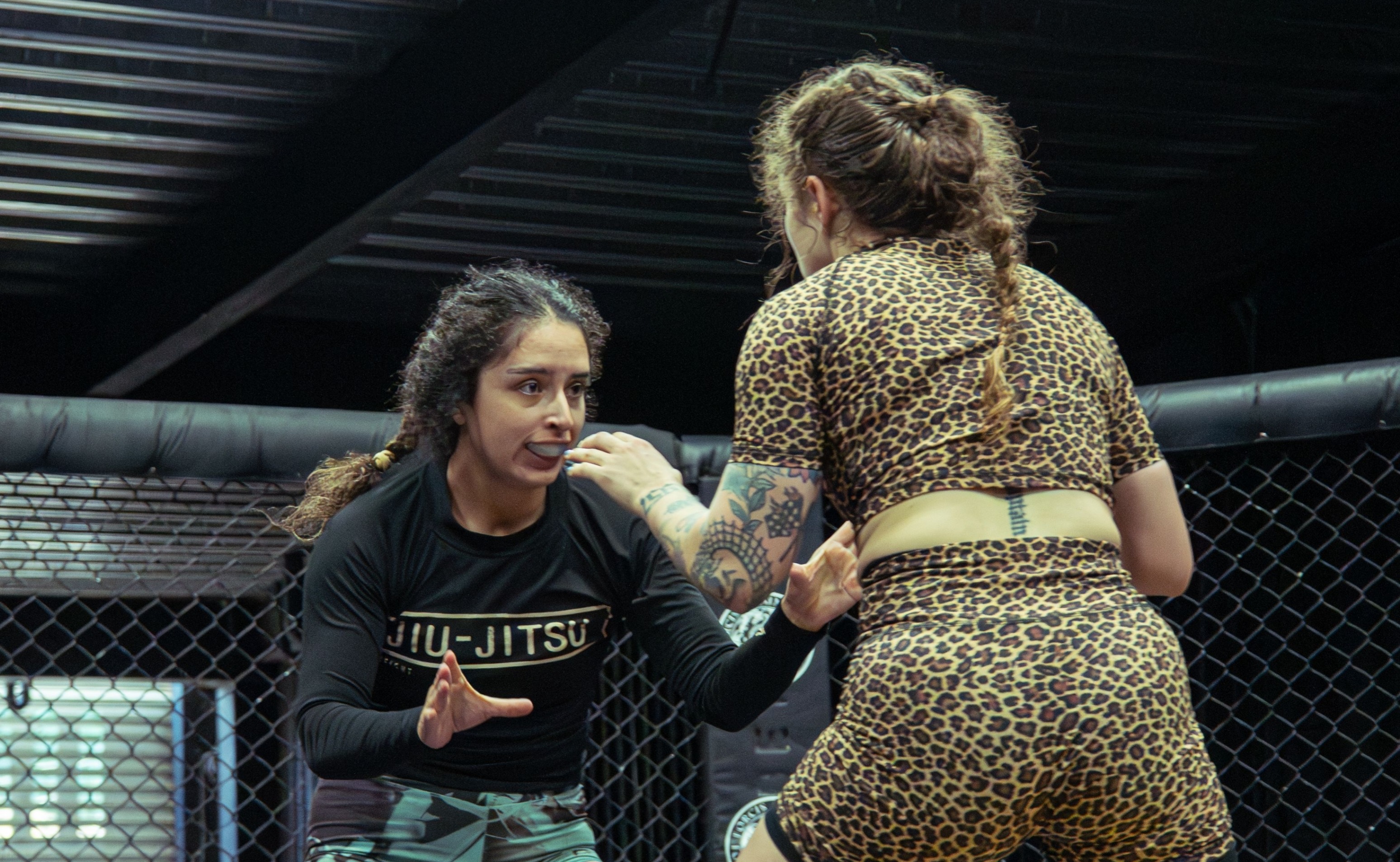 55f00e1a-46db-4e4c-8acf-19d4fa2d7cbb