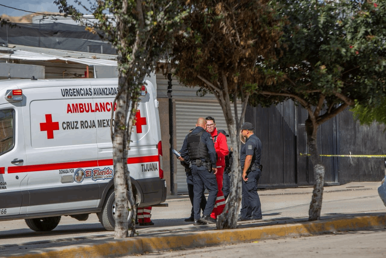 56186e72-118a-4fbd-a72e-ca74c37c1674